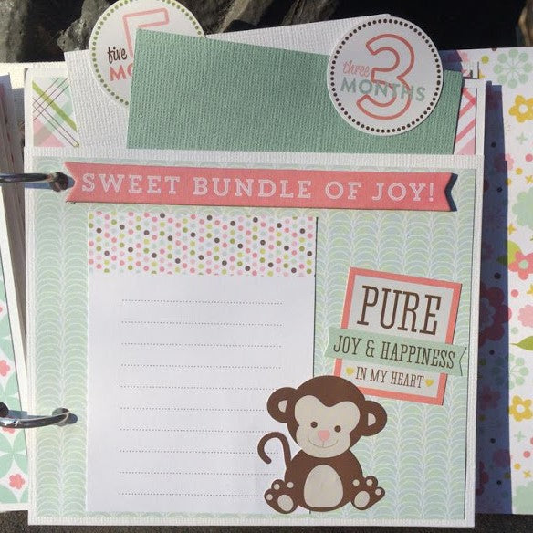 Sweet Baby Girl Scrapbook Instructions ONLY